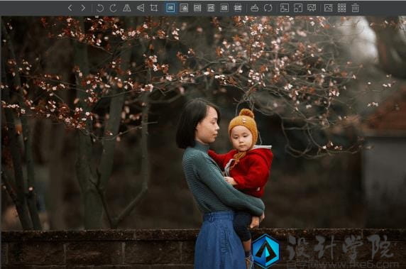 好用的看图软件ImageGlass v8.1.4.18绿色便携版